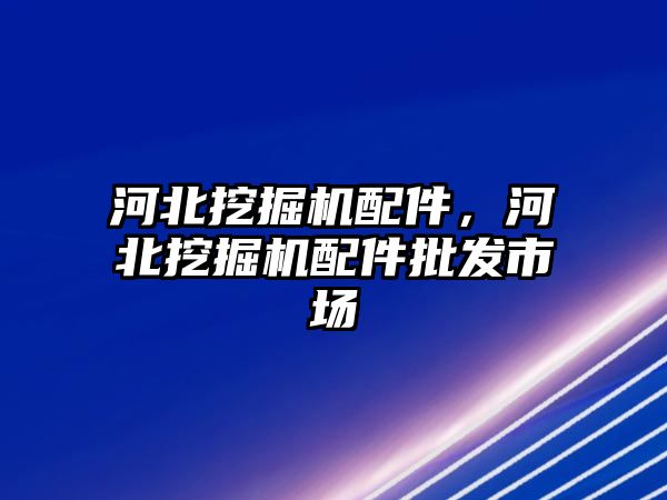 河北挖掘機配件，河北挖掘機配件批發市場