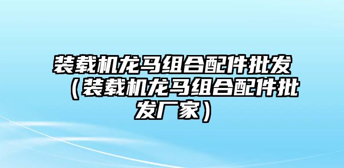 裝載機龍馬組合配件批發（裝載機龍馬組合配件批發廠家）