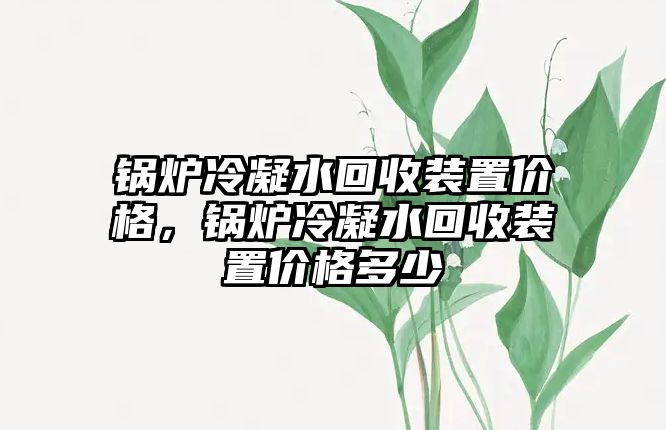 鍋爐冷凝水回收裝置價格，鍋爐冷凝水回收裝置價格多少