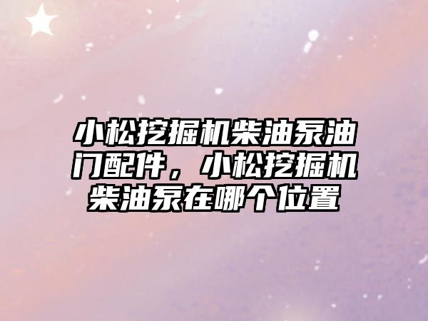 小松挖掘機柴油泵油門配件，小松挖掘機柴油泵在哪個位置