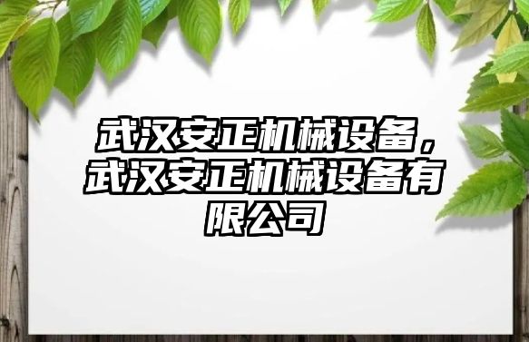 武漢安正機械設備，武漢安正機械設備有限公司