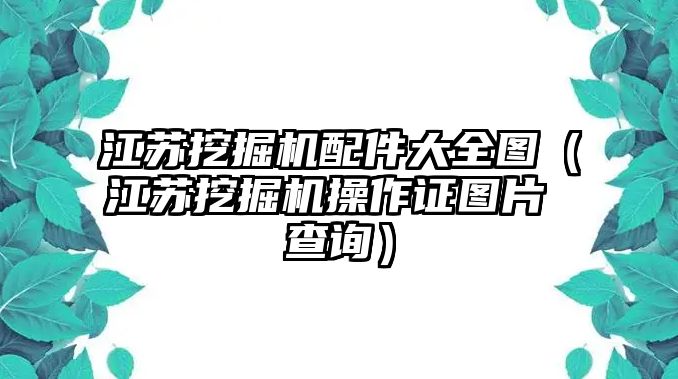 江蘇挖掘機配件大全圖（江蘇挖掘機操作證圖片 查詢）