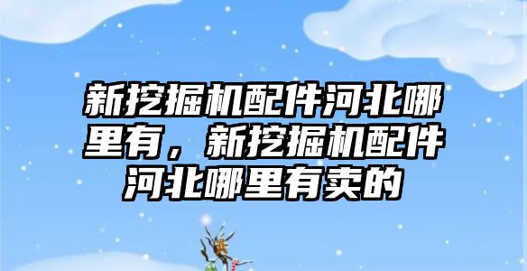 新挖掘機配件河北哪里有，新挖掘機配件河北哪里有賣的