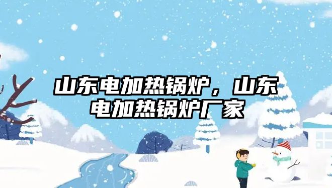 山東電加熱鍋爐，山東電加熱鍋爐廠家