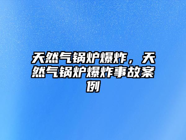 天然氣鍋爐爆炸，天然氣鍋爐爆炸事故案例