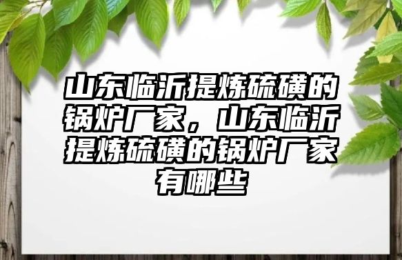 山東臨沂提煉硫磺的鍋爐廠(chǎng)家，山東臨沂提煉硫磺的鍋爐廠(chǎng)家有哪些