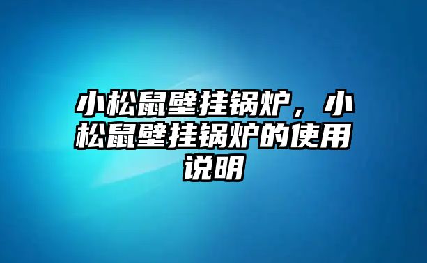 小松鼠壁掛鍋爐，小松鼠壁掛鍋爐的使用說明