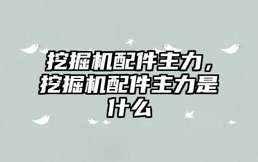 挖掘機配件主力，挖掘機配件主力是什么