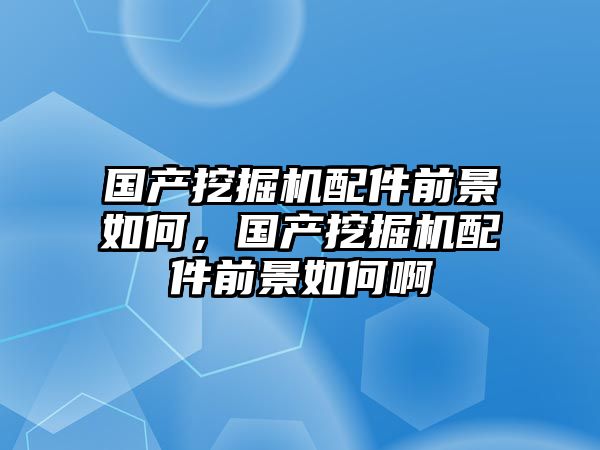 國產挖掘機配件前景如何，國產挖掘機配件前景如何啊