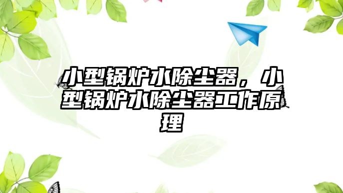 小型鍋爐水除塵器，小型鍋爐水除塵器工作原理