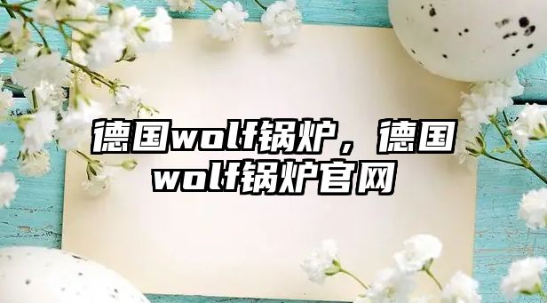 德國wolf鍋爐，德國wolf鍋爐官網