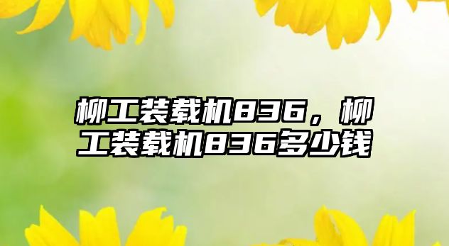 柳工裝載機836，柳工裝載機836多少錢