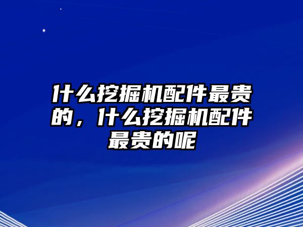 什么挖掘機(jī)配件最貴的，什么挖掘機(jī)配件最貴的呢