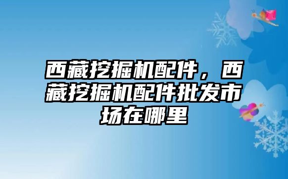 西藏挖掘機(jī)配件，西藏挖掘機(jī)配件批發(fā)市場(chǎng)在哪里