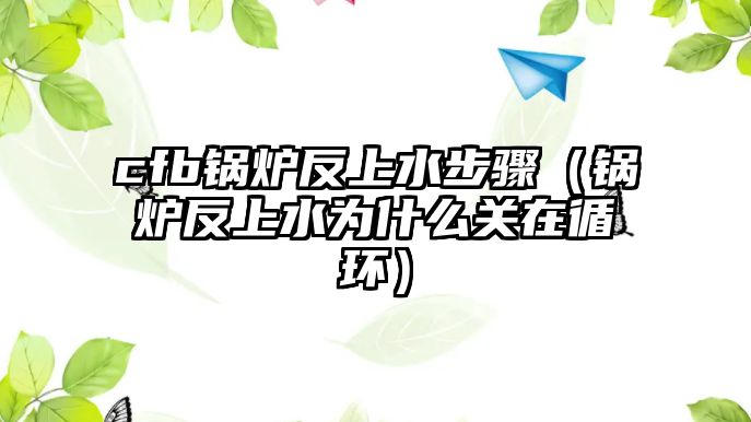 cfb鍋爐反上水步驟（鍋爐反上水為什么關在循環）