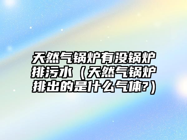 天然氣鍋爐有沒(méi)鍋爐排污水（天然氣鍋爐排出的是什么氣體?）