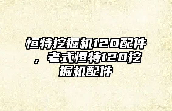 恒特挖掘機120配件，老式恒特120挖掘機配件