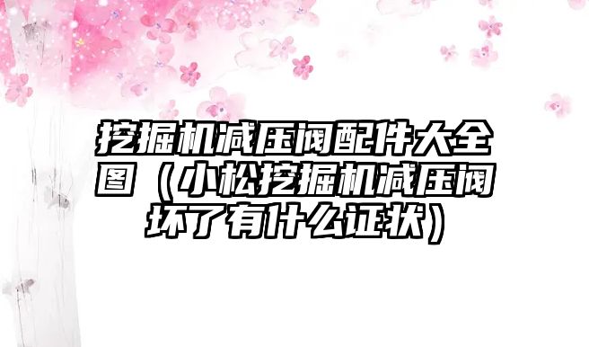 挖掘機(jī)減壓閥配件大全圖（小松挖掘機(jī)減壓閥壞了有什么證狀）