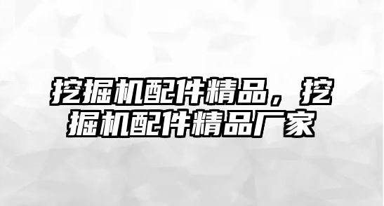 挖掘機配件精品，挖掘機配件精品廠家