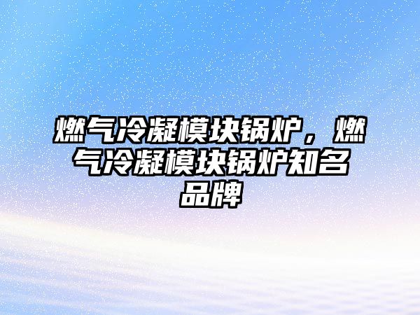 燃?xì)饫淠K鍋爐，燃?xì)饫淠K鍋爐知名品牌