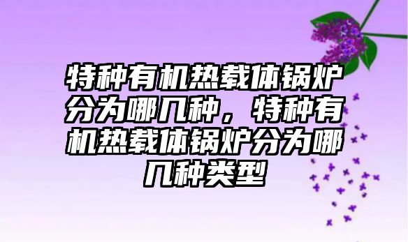 特種有機(jī)熱載體鍋爐分為哪幾種，特種有機(jī)熱載體鍋爐分為哪幾種類型