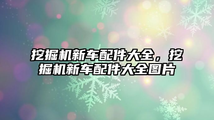 挖掘機新車配件大全，挖掘機新車配件大全圖片