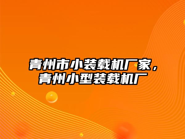 青州市小裝載機廠家，青州小型裝載機廠