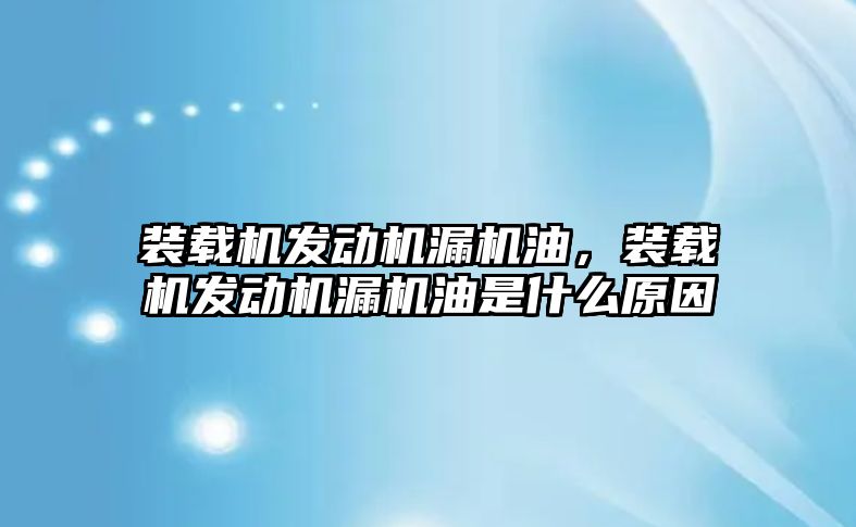 裝載機發動機漏機油，裝載機發動機漏機油是什么原因