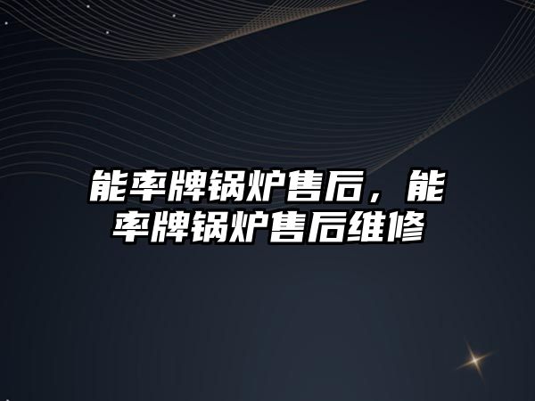 能率牌鍋爐售后，能率牌鍋爐售后維修