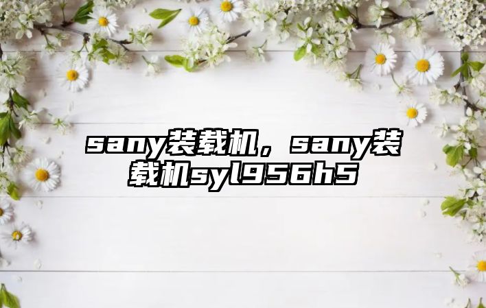 sany裝載機，sany裝載機syl956h5