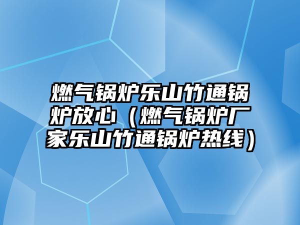 燃?xì)忮仩t樂(lè)山竹通鍋爐放心（燃?xì)忮仩t廠家樂(lè)山竹通鍋爐熱線）