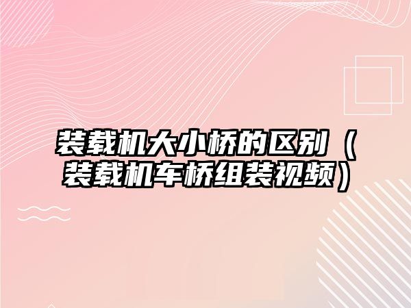 裝載機(jī)大小橋的區(qū)別（裝載機(jī)車橋組裝視頻）