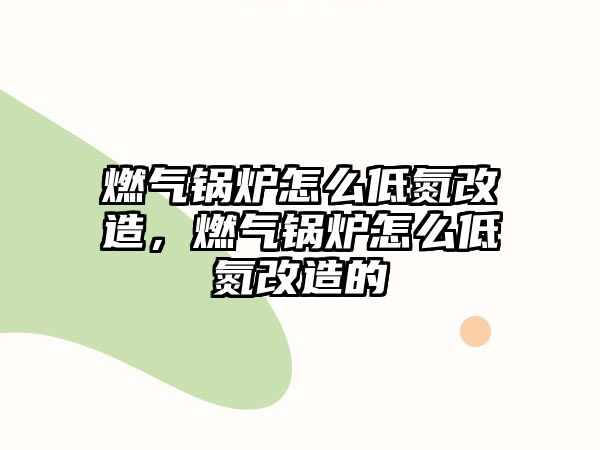 燃?xì)忮仩t怎么低氮改造，燃?xì)忮仩t怎么低氮改造的