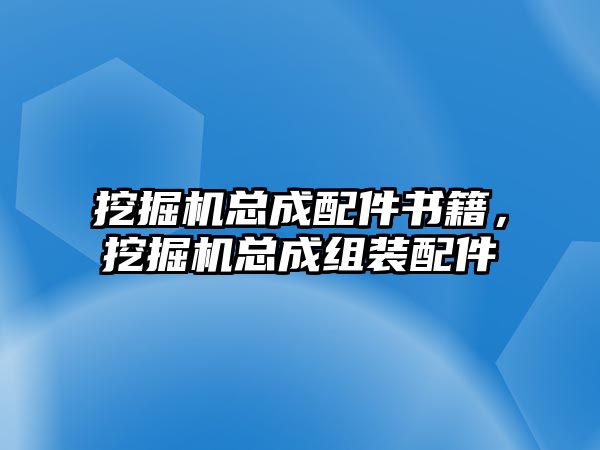 挖掘機(jī)總成配件書(shū)籍，挖掘機(jī)總成組裝配件