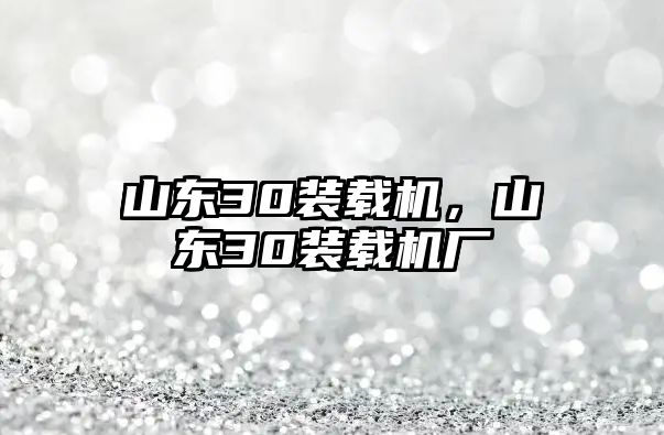 山東30裝載機，山東30裝載機廠