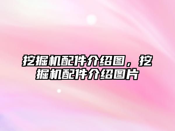 挖掘機配件介紹圖，挖掘機配件介紹圖片