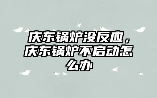 慶東鍋爐沒反應，慶東鍋爐不啟動怎么辦