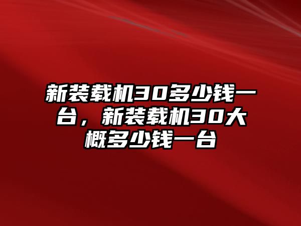 新裝載機30多少錢一臺，新裝載機30大概多少錢一臺