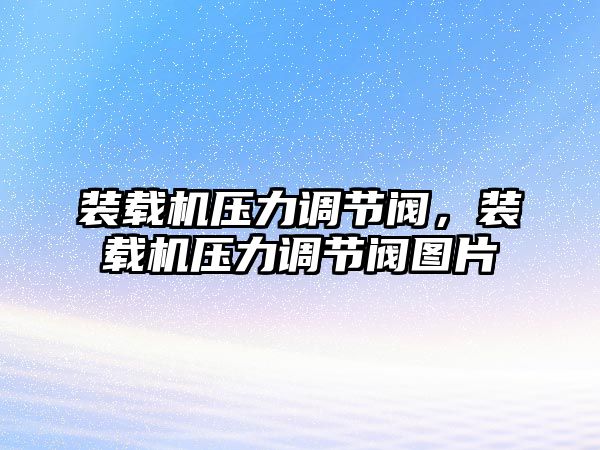 裝載機壓力調節閥，裝載機壓力調節閥圖片