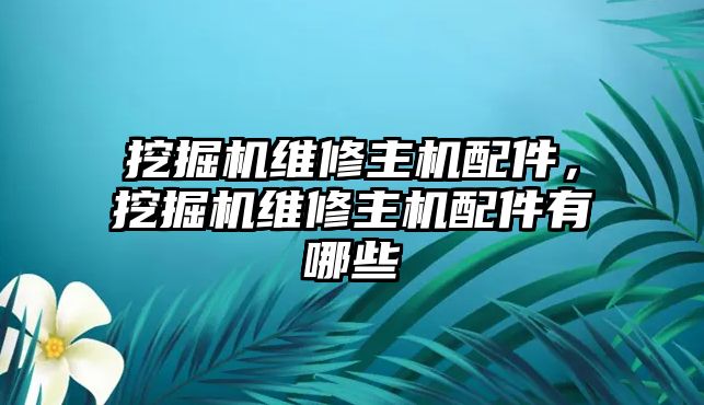 挖掘機維修主機配件，挖掘機維修主機配件有哪些