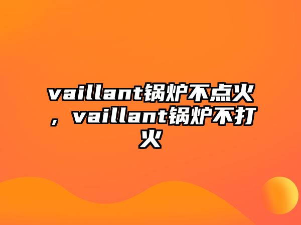 vaillant鍋爐不點(diǎn)火，vaillant鍋爐不打火