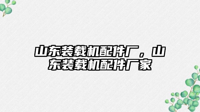 山東裝載機配件廠，山東裝載機配件廠家