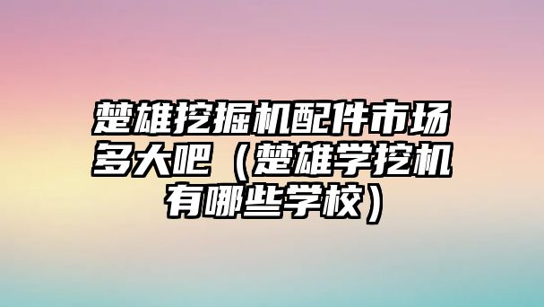 楚雄挖掘機配件市場多大吧（楚雄學(xué)挖機有哪些學(xué)校）