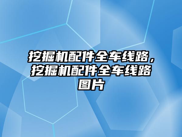 挖掘機配件全車線路，挖掘機配件全車線路圖片