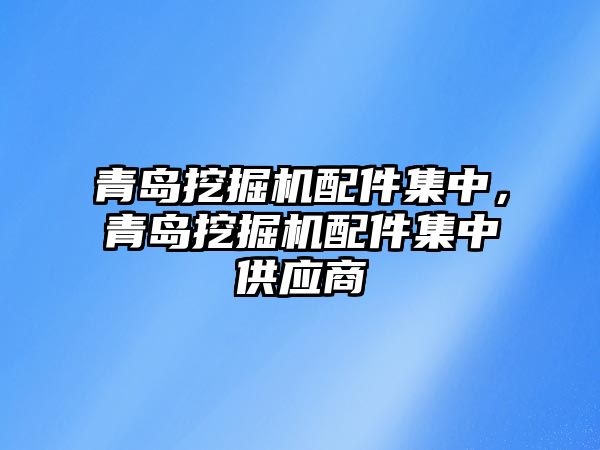 青島挖掘機配件集中，青島挖掘機配件集中供應商