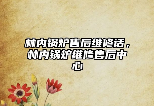 林內鍋爐售后維修話，林內鍋爐維修售后中心