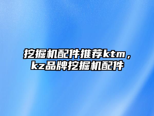 挖掘機配件推薦ktm，kz品牌挖掘機配件