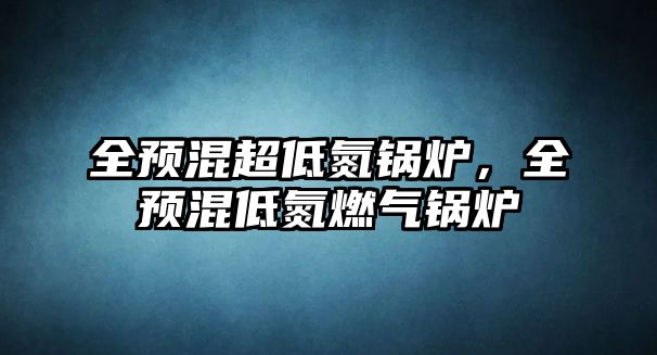 全預混超低氮鍋爐，全預混低氮燃氣鍋爐