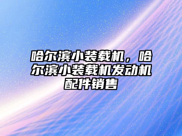 哈爾濱小裝載機，哈爾濱小裝載機發(fā)動機配件銷售