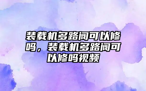 裝載機多路閥可以修嗎，裝載機多路閥可以修嗎視頻